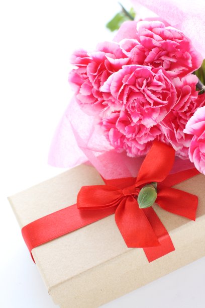 粉红色和白色的康乃馨与复制空间图片下载