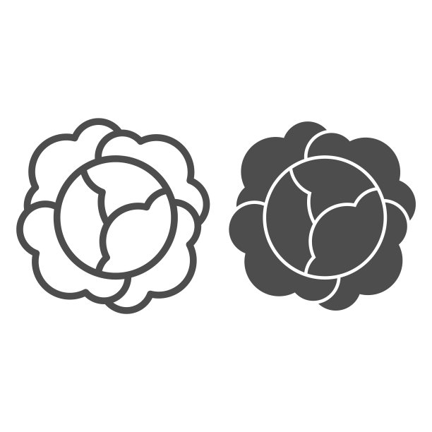 卷心菜线和字形图标。维生素食物载体插图孤立在白色。蔬菜轮廓风格设计，专为网页和应用。Eps 10。图片下载
