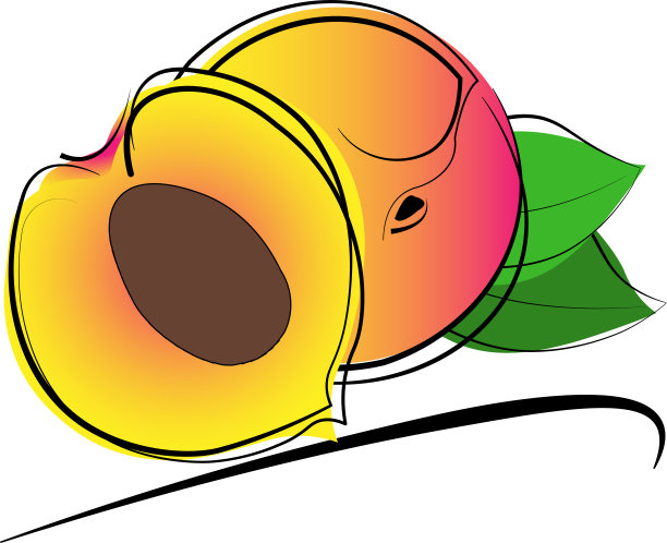 软质水果:桃(桃李)。插图矢量素描风格图片下载