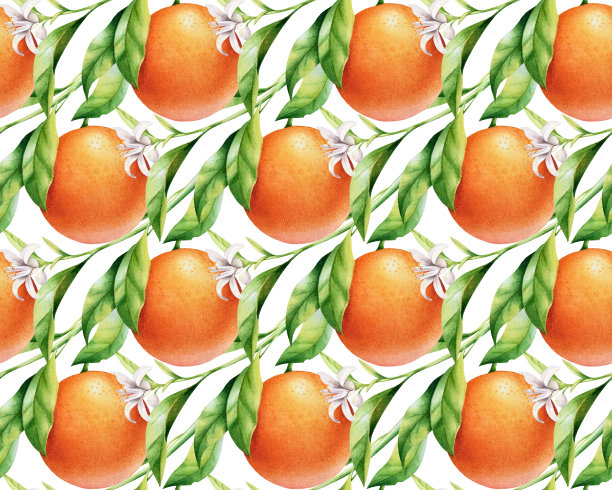 橙子在树枝上无缝的背景。水彩图案的柑橘叶，水果和花。图片下载