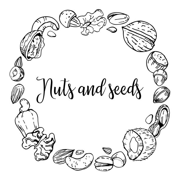 圆形框架与坚果和种子。手绘轮廓矢量草图插图图片下载