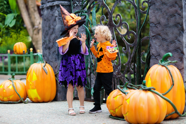 万圣节服装图片素材ID：344367864