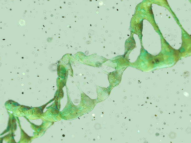 DNA链。抽象的科学背景。三维渲染图片下载