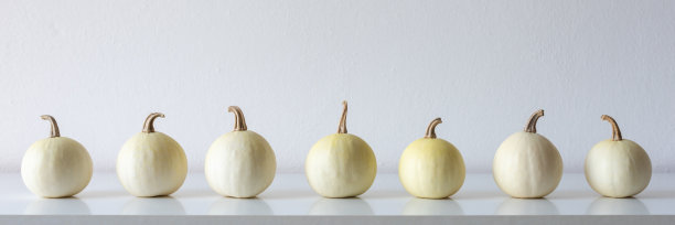 感恩节快乐。白墙边的白色架子上放着精选的白色小南瓜。现代简约的秋季风格的房间装饰。图片下载