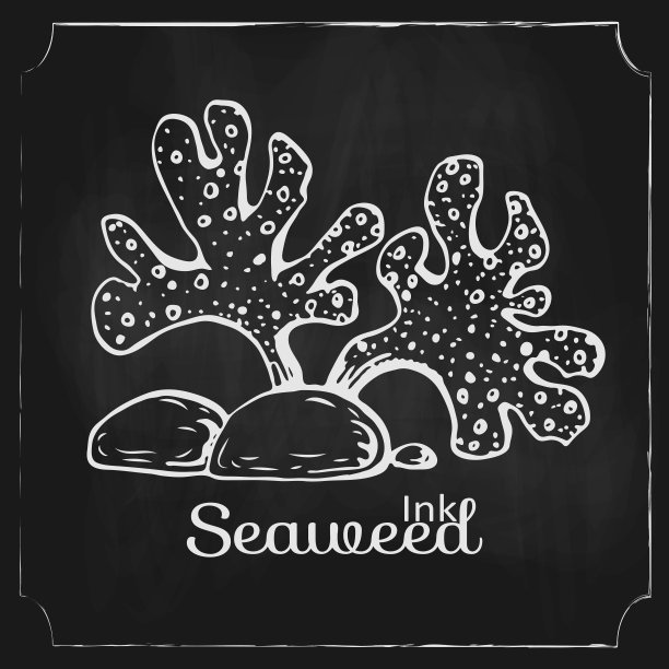 矢量手绘海草在黑色黑板上。画在黑板上的古老海生植物。水下海藻与石头。海之元素，海之底。藻类草图图标的创意设计。图片下载