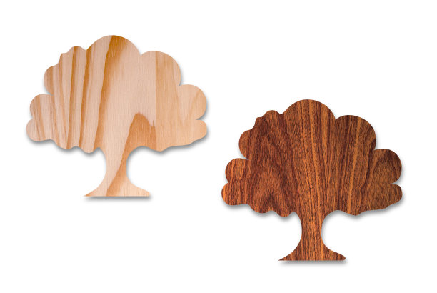 用木头切割出的两个树形，孤立在白色背景上图片下载