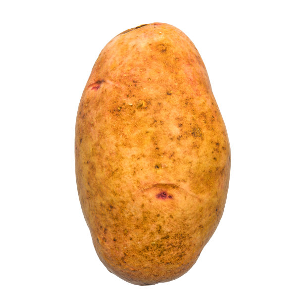 马铃薯特写3d渲染与现实的纹理隔离在白色的背景图片下载