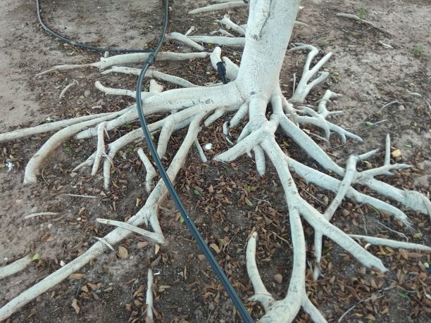 房地产图片下载