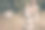 一对快乐的老人在公园里跳舞。祖父看着祖母的眼睛。他们记得年轻的时候。Nastalgiya。祖父母在一起的照片图片下载
