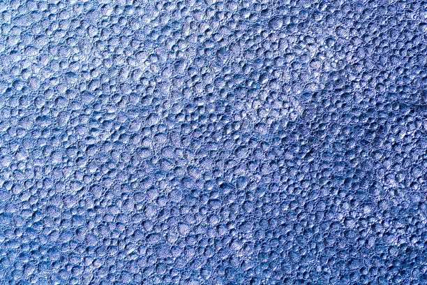 蓝色的窗户霜图片下载