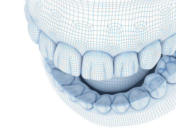 人类下颌牙龈和牙齿的形态。Wire 3d模型插图图片下载