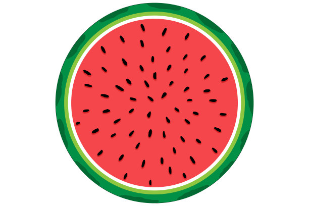在白色的背景上画上西瓜的种子。图片下载