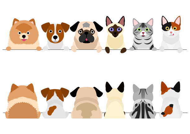 小狗和猫的边界设置，上身，前面和后面图片下载