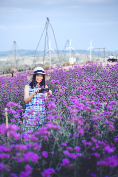 带着紫色花朵的旅行女人图片下载