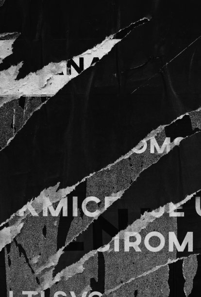 空白的白色，黑色的旧的撕破的纸，皱巴巴的海报，垃圾纹理的背景海报图片下载