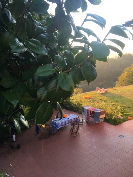 花园建筑图片下载