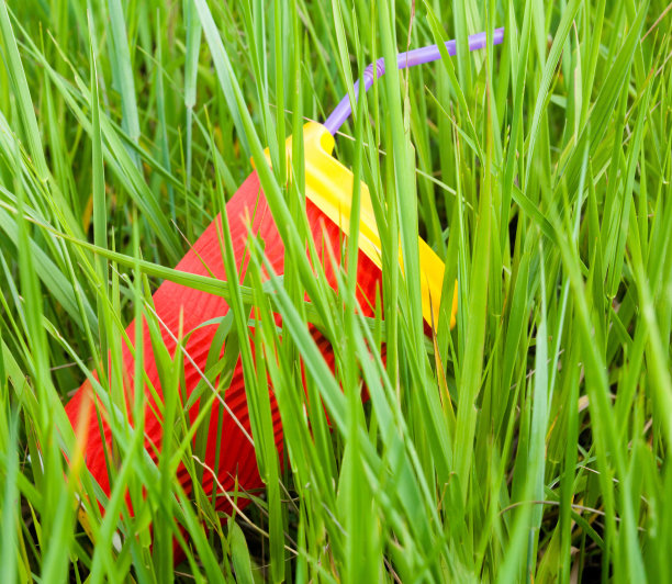 塑料杯放在草地上图片下载