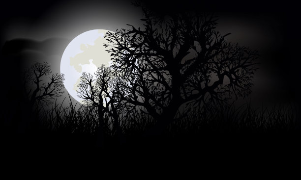 万圣节幽灵森林的夜景图片下载