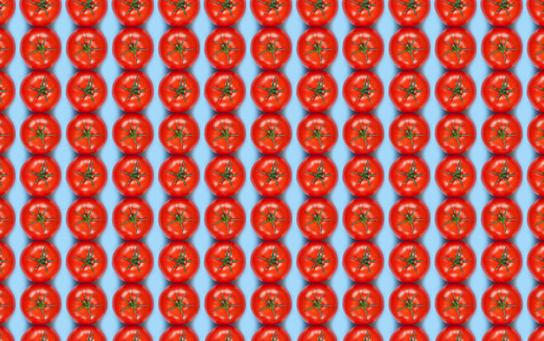 鲜艳的图案红色新鲜西红柿在蓝色的背景。前视图。平躺图片下载