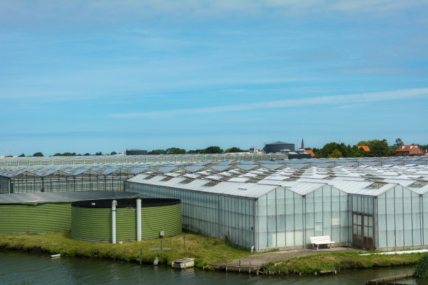 白色的温室，有开着的顶部窗户图片下载