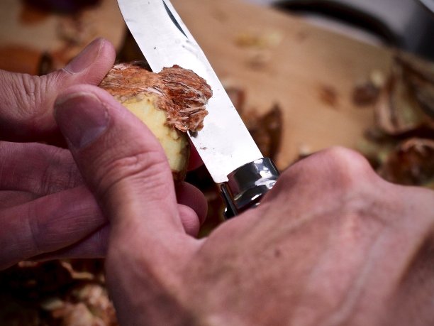 板栗剥图片下载