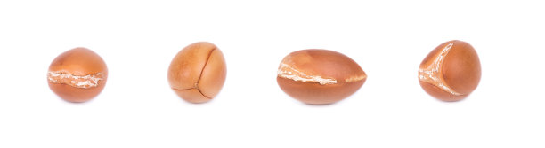 在白色背景下分离的摩洛哥坚果种子。摩洛哥坚果和坚果油，用于化妆品和美容产品。天然摩洛哥坚果果实。图片下载