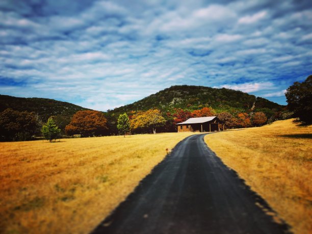 沿乡村景观的空路图片下载