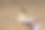 皮肤的工友! !图片下载