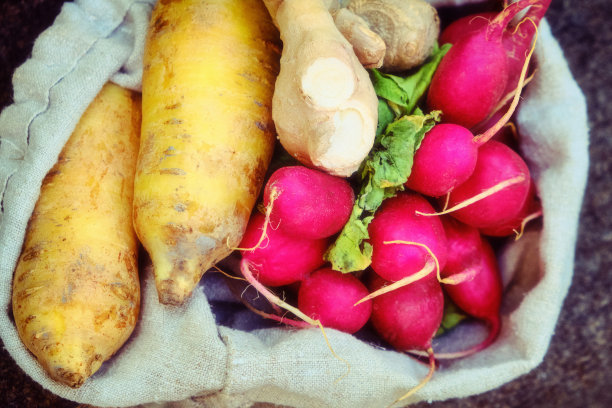 帆布布袋里装着新鲜的萝卜和辣根。古罗马食物的重建。图片下载