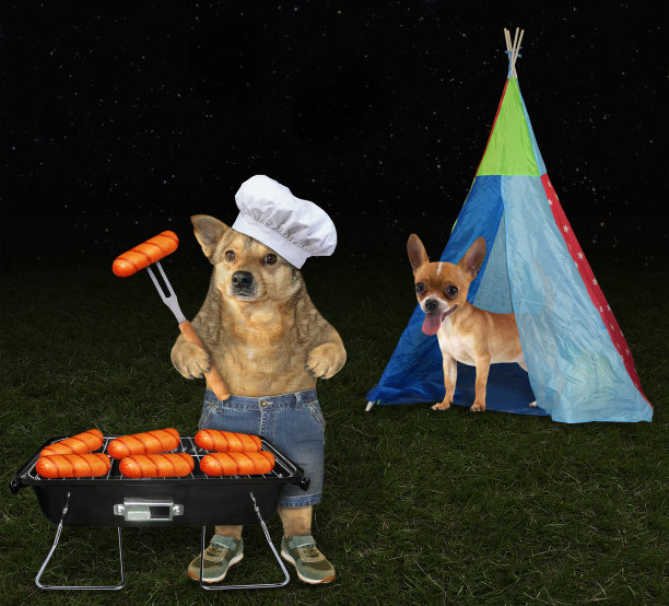 狗在2号帐篷附近烤香肠图片下载