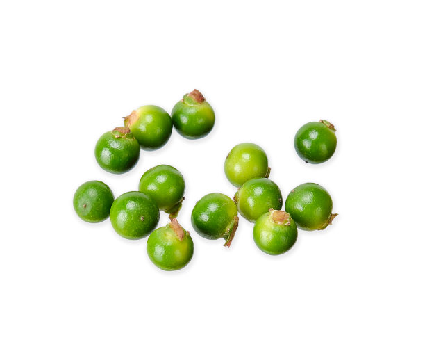 青椒孤立在白色的修剪路径上图片下载