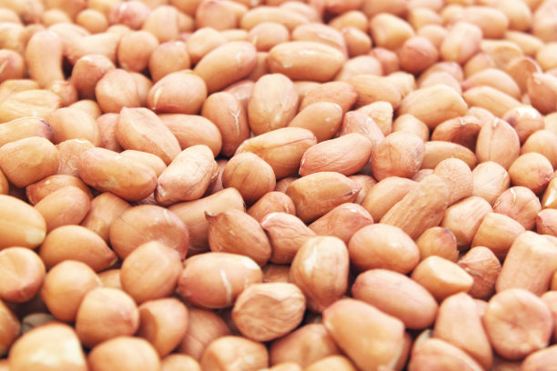 花生的背景图片下载