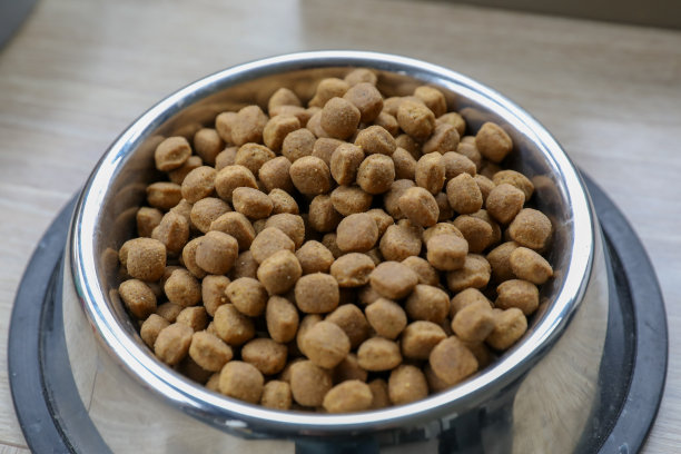 狗的配件和食物图片下载