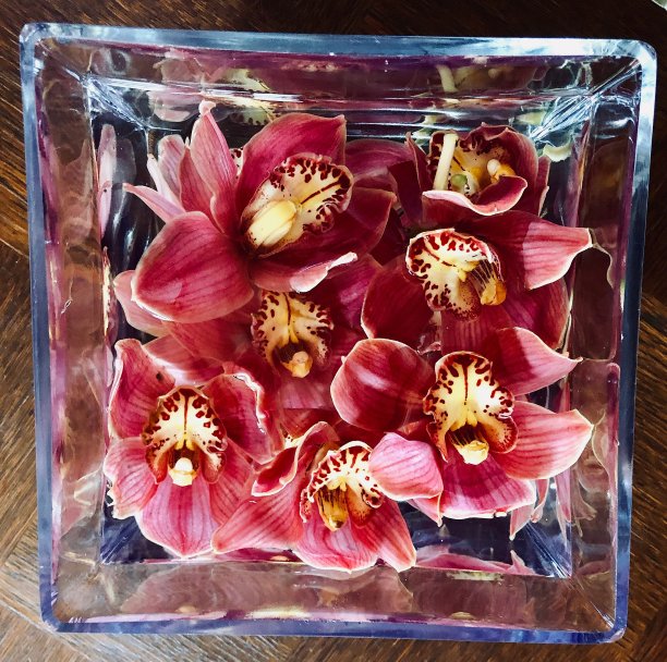 兰花在水晶图片下载