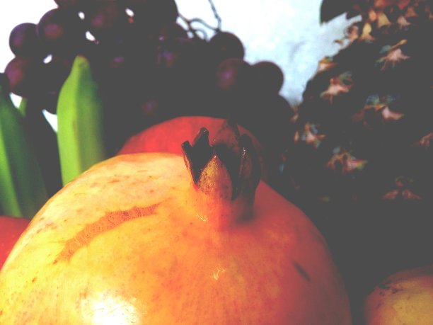 各种各样的水果。图片下载