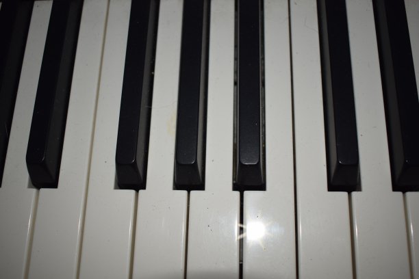 黑色和白色图片下载