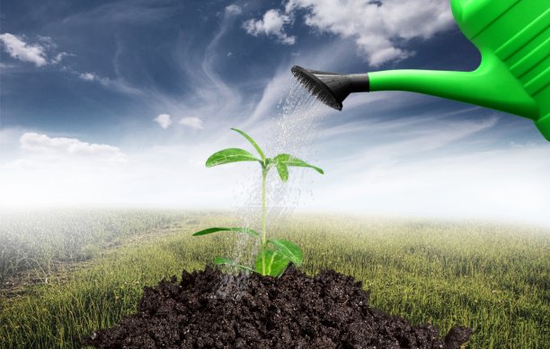 喷壶。图片下载