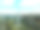 无人机的航拍照片，高压输电线路。天,阳光明媚。俄罗斯,圣彼得堡图片下载