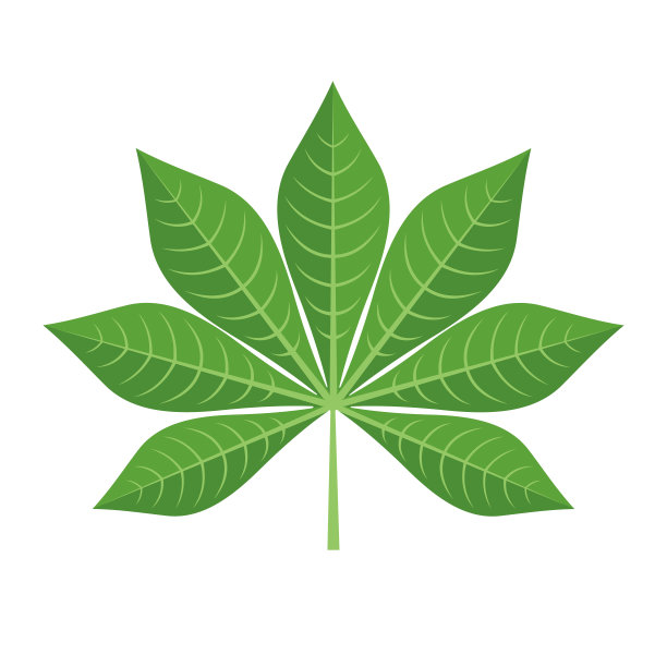 绿色木薯叶图标在平坦的风格孤立在白色的背景。图片下载