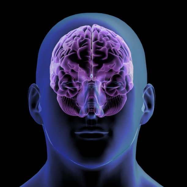 前视图的人的头和大脑在黑色的背景图片下载