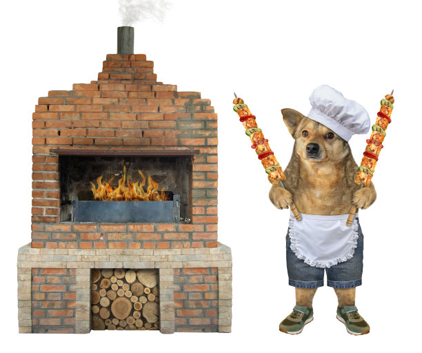 狗在烤架上煮肉图片下载