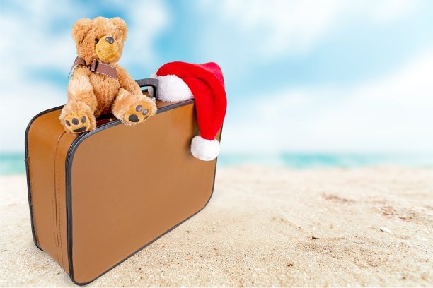 圣诞节。图片下载