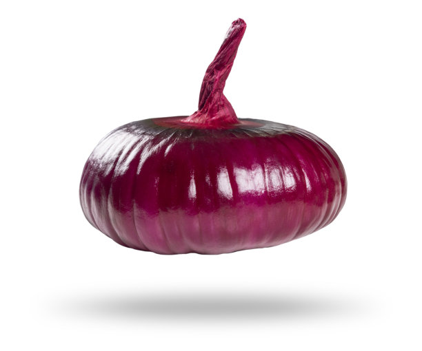 孤立的洋葱。一个红色的整个洋葱孤立在白色背景与剪切路径和复制空间。红色洋葱孤立在白色上。图片下载