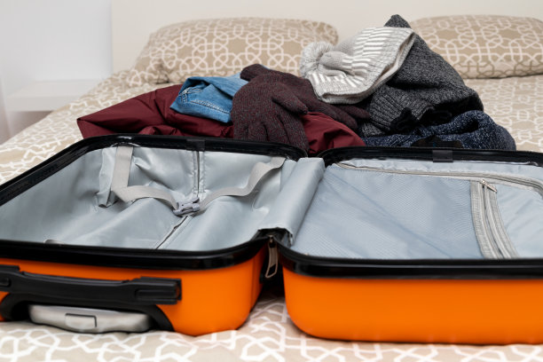 旅行、手提箱、公寓图片下载