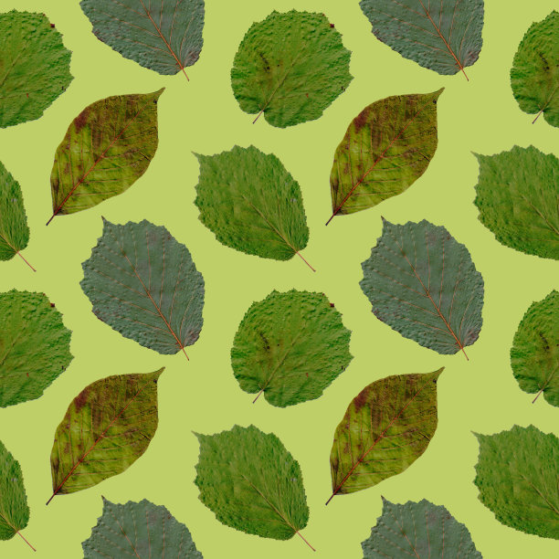 孤立的不同树木的绿叶无缝拼贴在绿色背景上图片下载