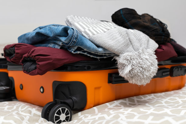 旅行、手提箱、公寓图片下载