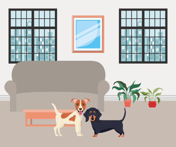 客厅里可爱的小狗图片下载