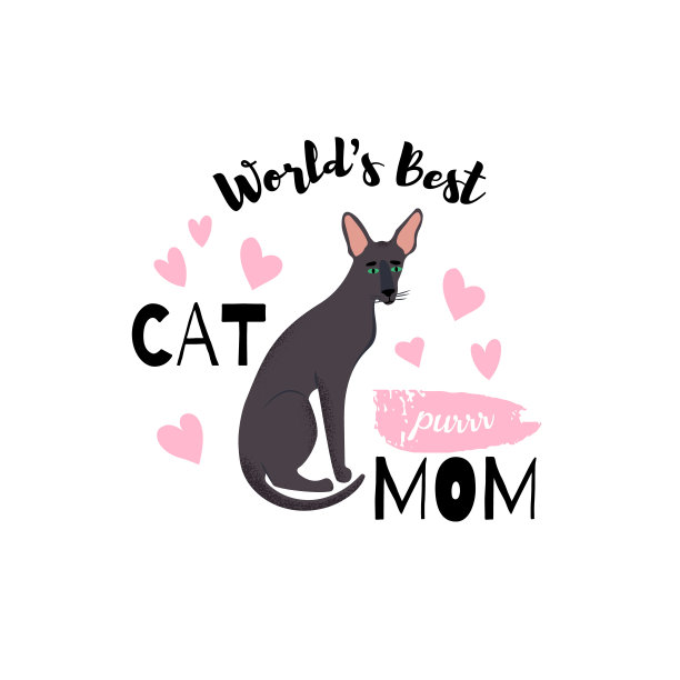 可爱的东方短毛猫与文字“世界上最好的。猫妈妈”。图片下载