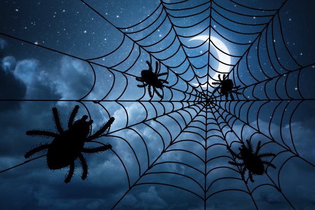 在幽灵般的月亮下，蜘蛛在午夜庆祝万圣节图片下载