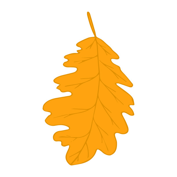 秋黄橡树叶在涂鸦风格孤立图片下载